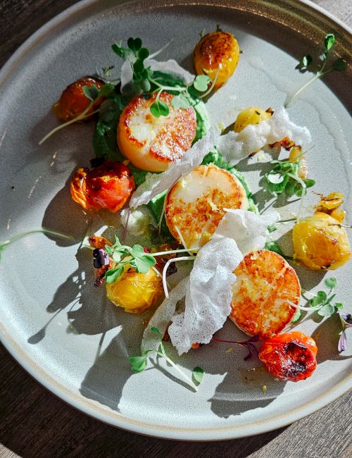 A stylish plate of seared scallops and colorful roasted tomatoes, microgreens, and crispy wisps on a pale dish.